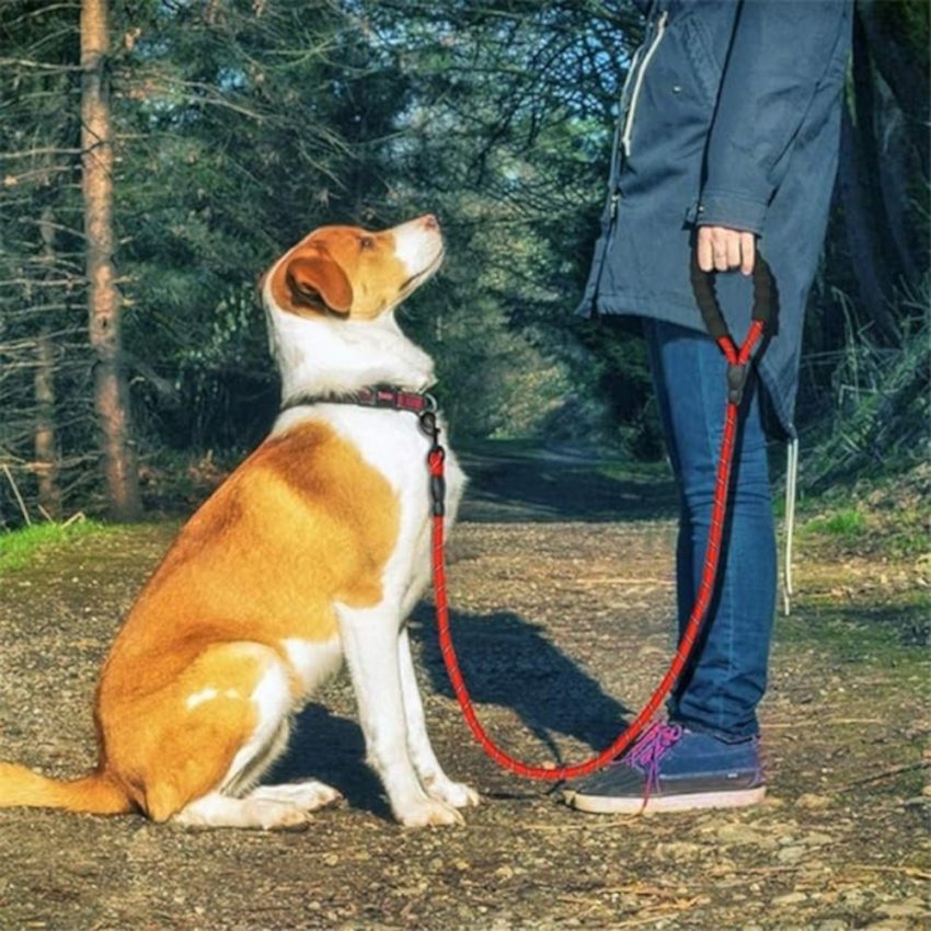 Red Dog Leash 1.50m x 1.20cm