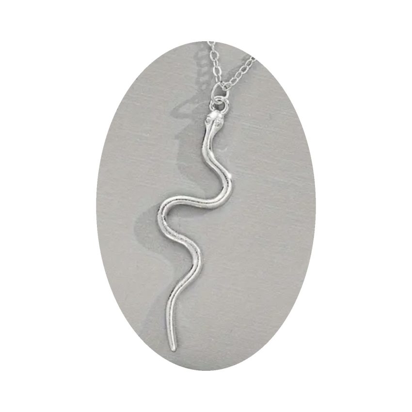 Silver Minimalist Snake Necklace